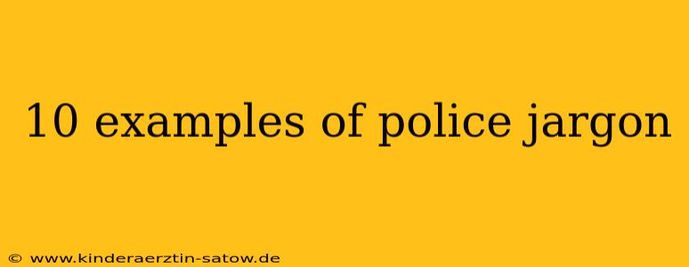 10 examples of police jargon