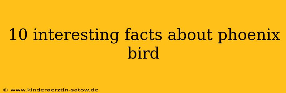 10 interesting facts about phoenix bird