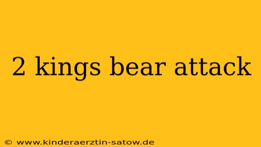 2 kings bear attack