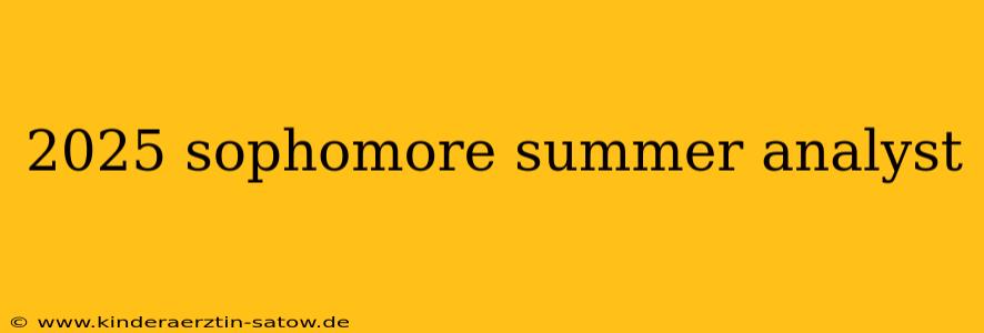 2025 sophomore summer analyst