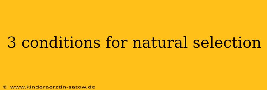3 conditions for natural selection