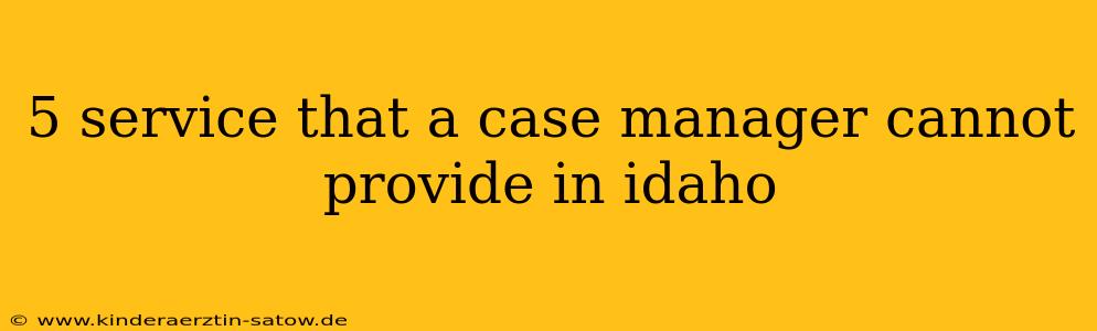 5 service that a case manager cannot provide in idaho
