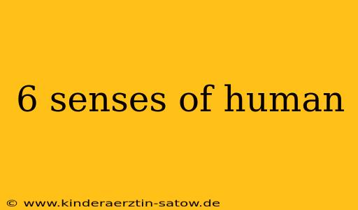 6 senses of human
