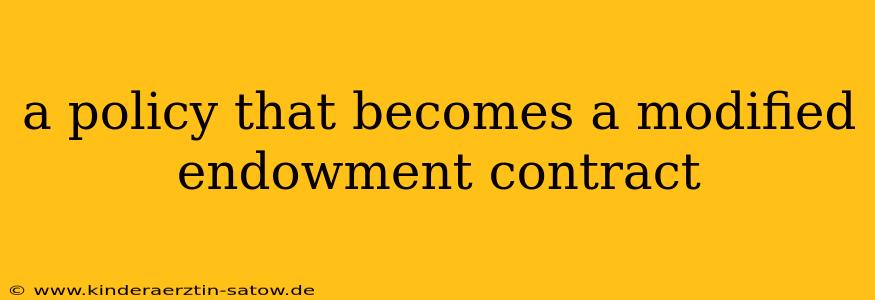 a policy that becomes a modified endowment contract