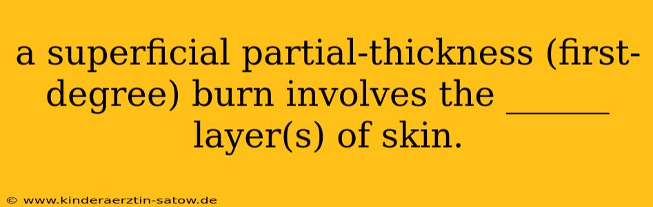 a superficial partial-thickness (first-degree) burn involves the ______ layer(s) of skin.