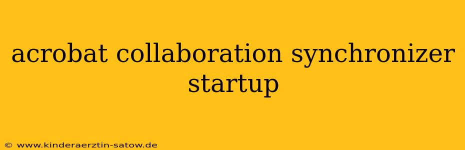 acrobat collaboration synchronizer startup