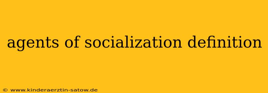 agents of socialization definition