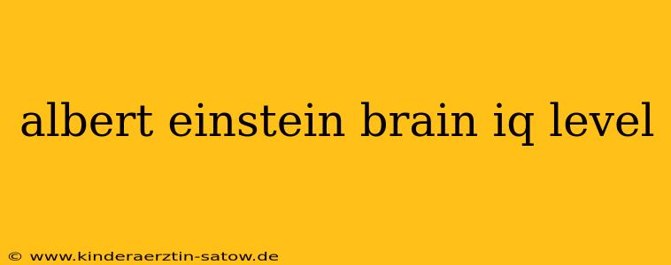 albert einstein brain iq level