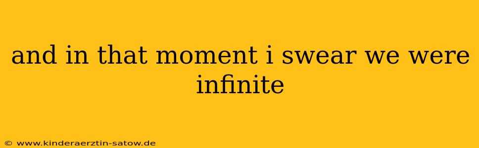 and in that moment i swear we were infinite