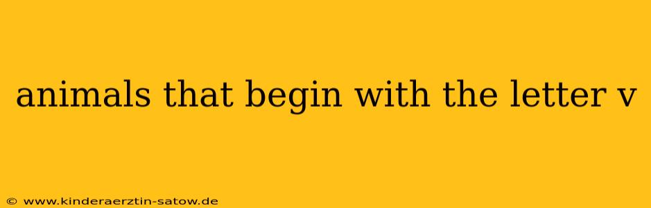 animals that begin with the letter v