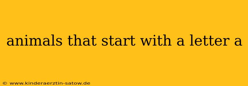 animals that start with a letter a
