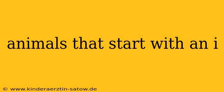 animals that start with an i