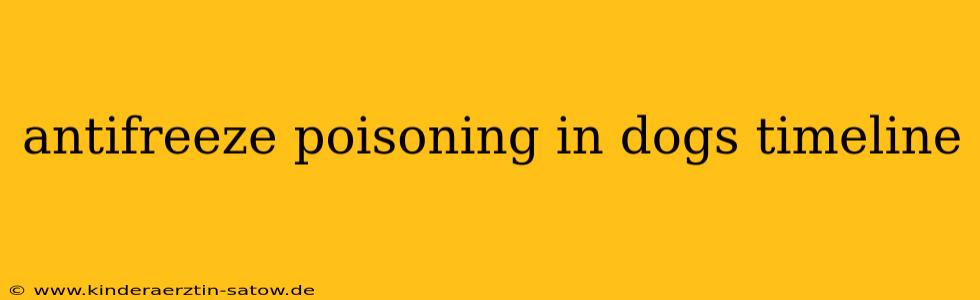 antifreeze poisoning in dogs timeline