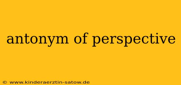 antonym of perspective