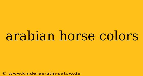 arabian horse colors