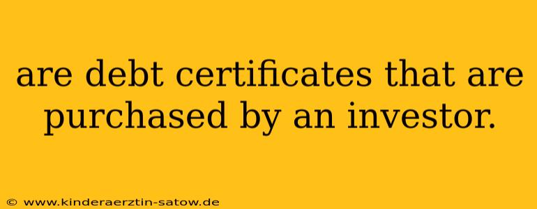 are debt certificates that are purchased by an investor.