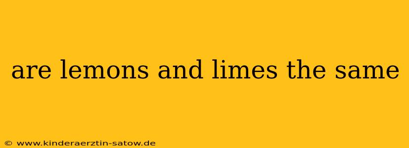 are lemons and limes the same