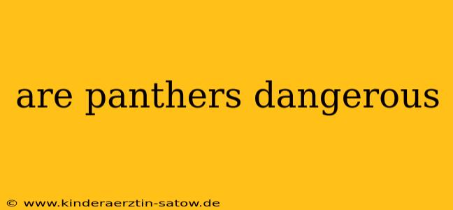 are panthers dangerous