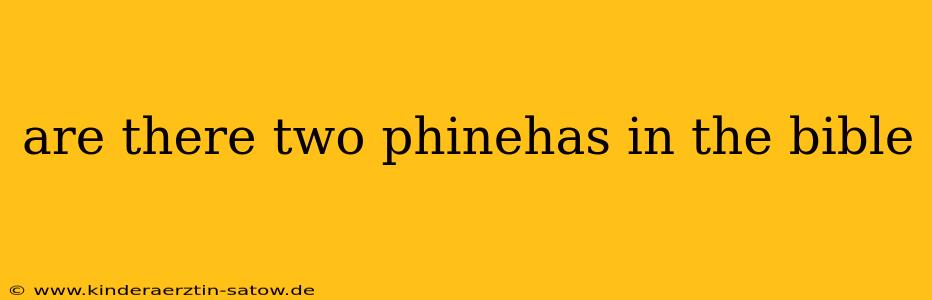 are there two phinehas in the bible