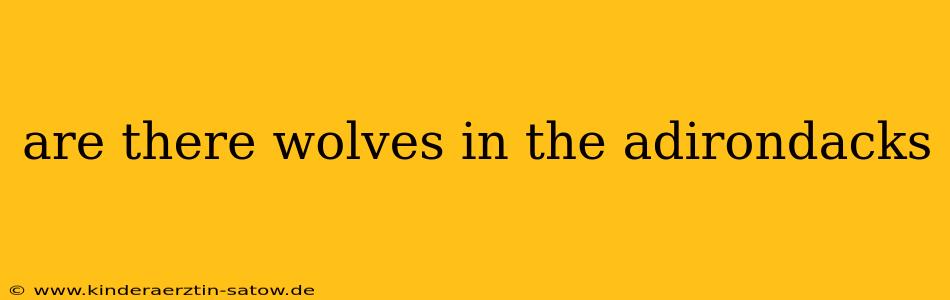 are there wolves in the adirondacks
