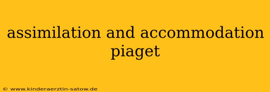 assimilation and accommodation piaget