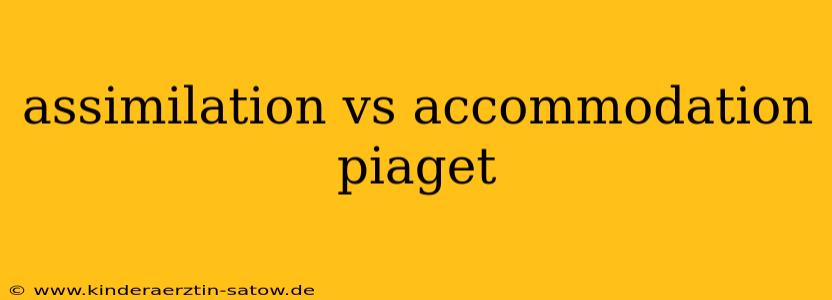 assimilation vs accommodation piaget