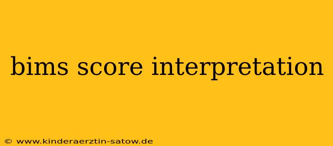 bims score interpretation
