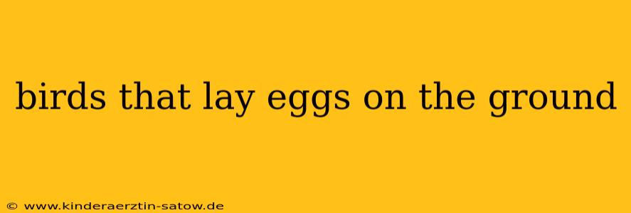 birds that lay eggs on the ground