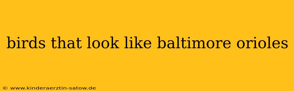 birds that look like baltimore orioles