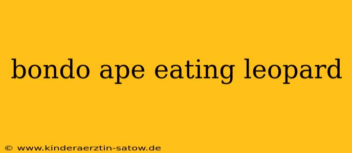 bondo ape eating leopard