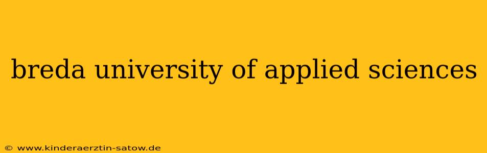 breda university of applied sciences