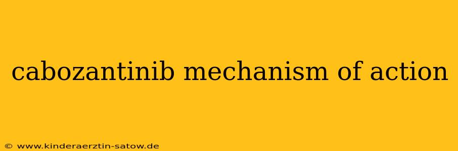 cabozantinib mechanism of action