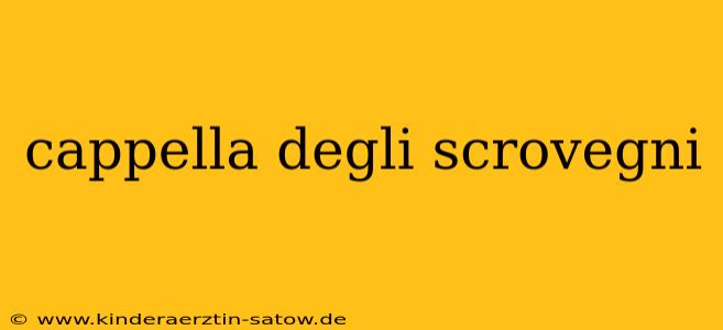 cappella degli scrovegni