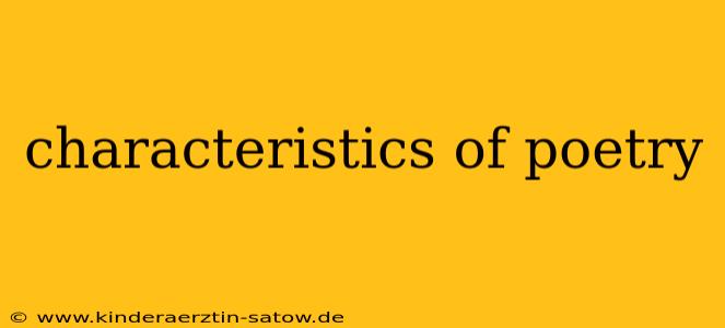 characteristics of poetry