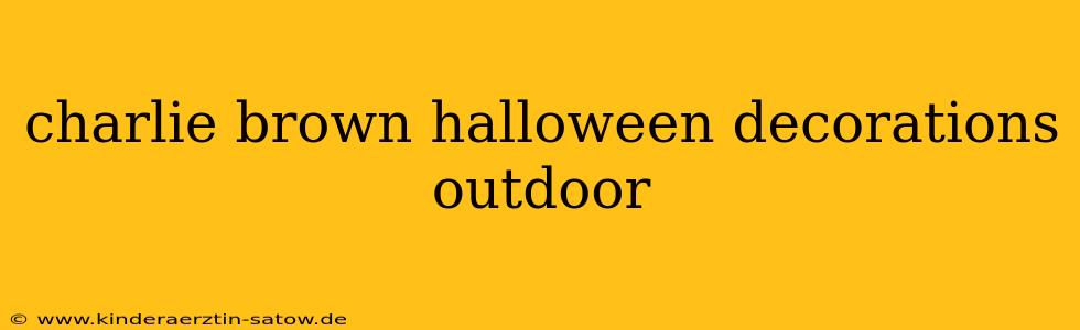 charlie brown halloween decorations outdoor