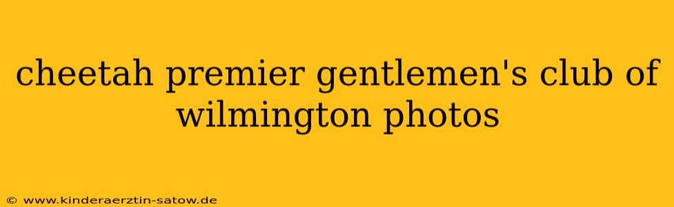 cheetah premier gentlemen's club of wilmington photos