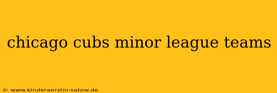 chicago cubs minor league teams