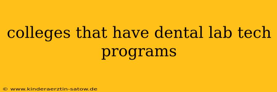 colleges that have dental lab tech programs