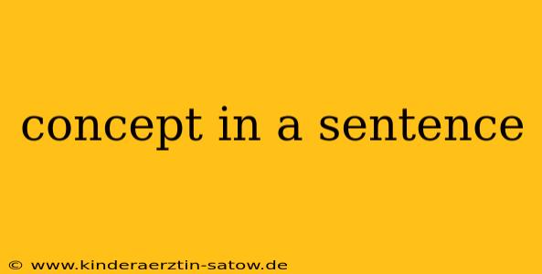 concept in a sentence