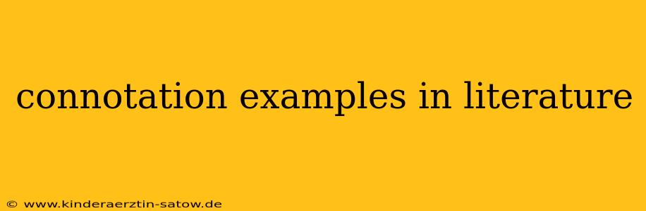 connotation examples in literature