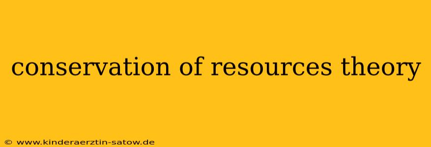 conservation of resources theory