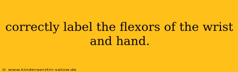 correctly label the flexors of the wrist and hand.