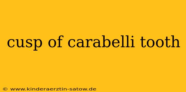 cusp of carabelli tooth