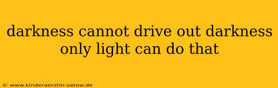 darkness cannot drive out darkness only light can do that
