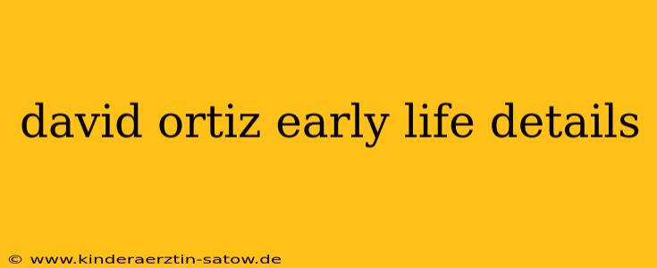 david ortiz early life details