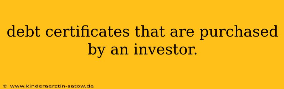 debt certificates that are purchased by an investor.