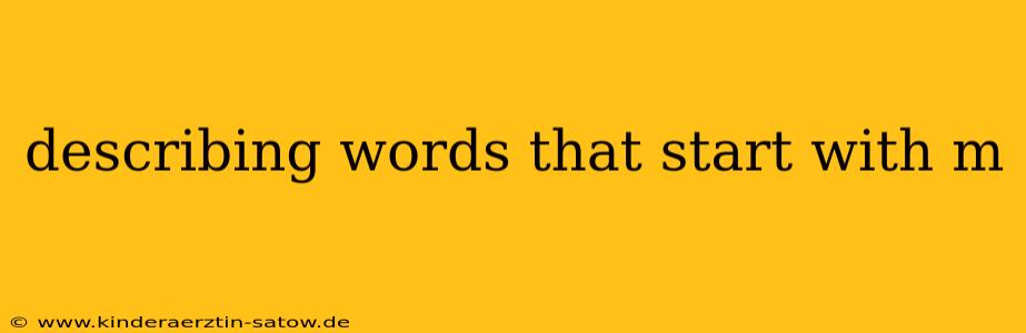 describing words that start with m