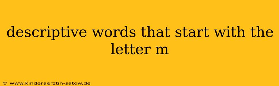 descriptive words that start with the letter m