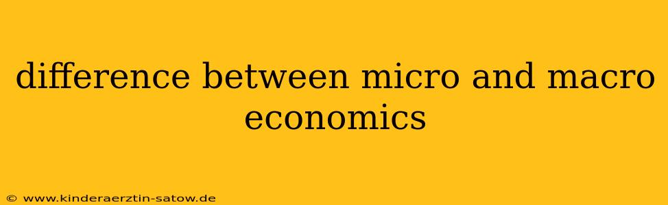 difference between micro and macro economics