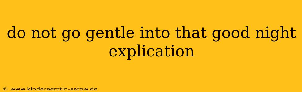 do not go gentle into that good night explication